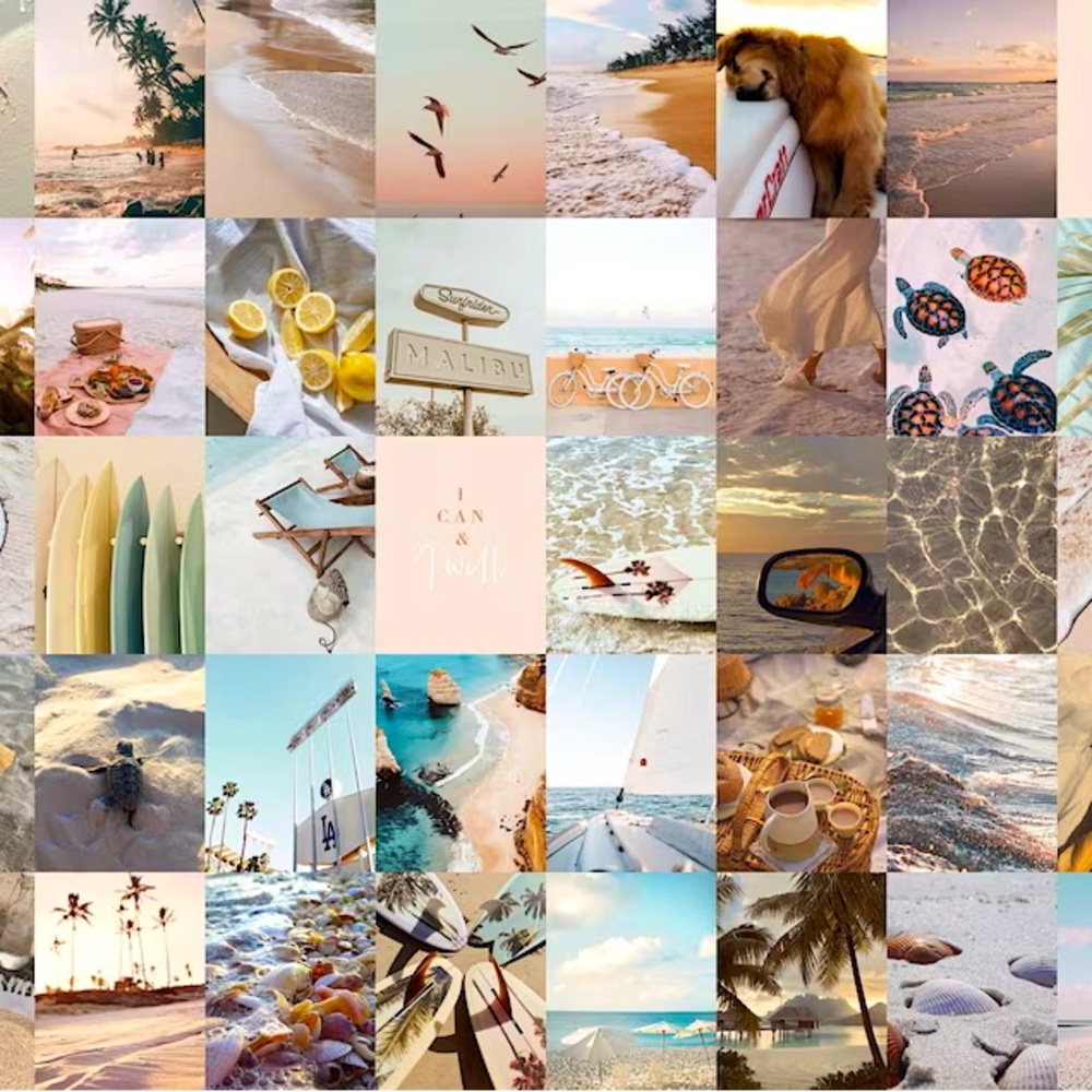🐚